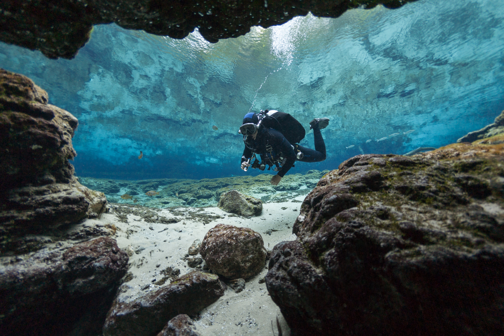 divers underwater caves diving Ginnie Springs Florida USA(Valerijs Novickis)s