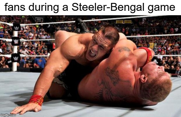steeler bengal football rivalry meme