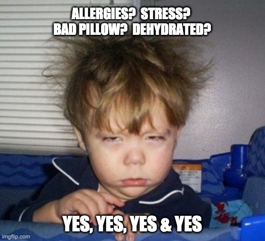 allergies? stress meme
