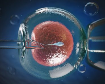 Artificial insemination, in vitro fertilization IVF of human egg cell or fertility treatment(Maxx-Studio)s