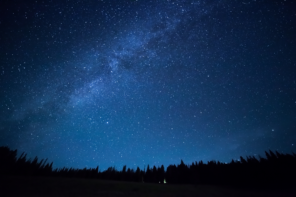 Blue dark night sky with many stars above field of trees(Pozdeyev Vitaly)s