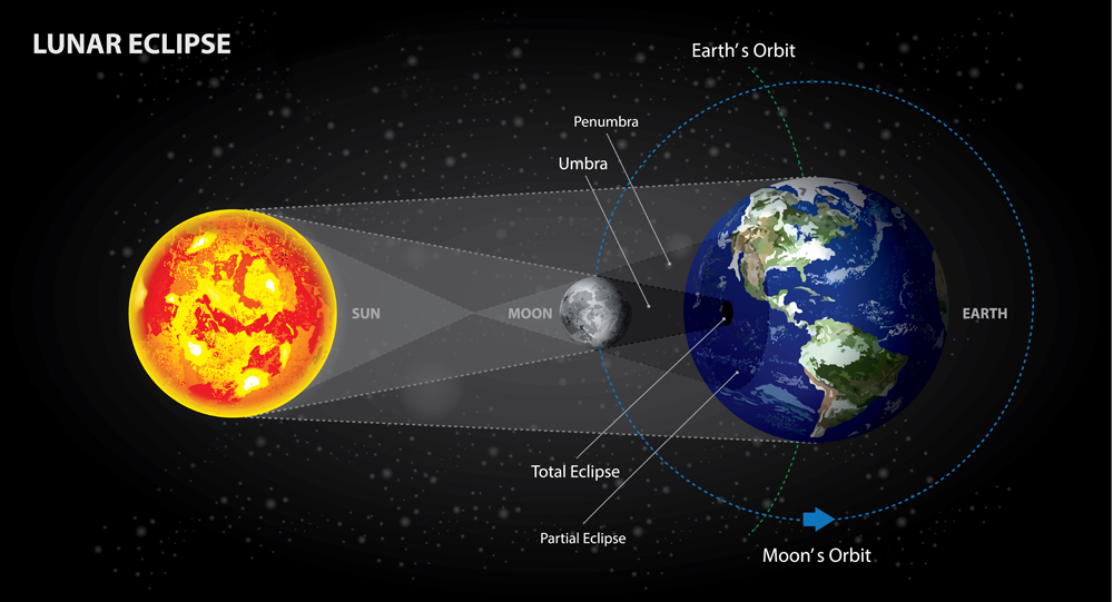 Lunar Eclipses Sun Earth and Moon Vector Illustration - Vector( Natee Jitthammachai)s