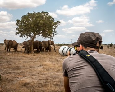 Male photographer shooting pictures of the savannah on a safari game drive(FranciscoMarques)s