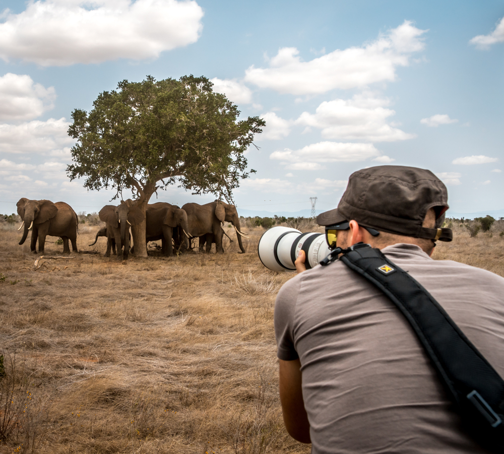 Male photographer shooting pictures of the savannah on a safari game drive(FranciscoMarques)s