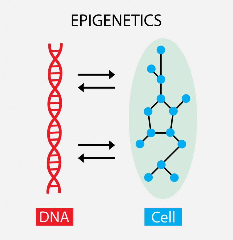 The interaction between DNA and cells(Nasky)S