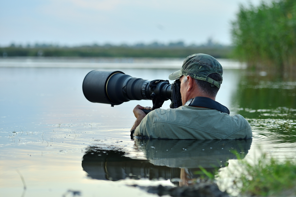 wildlife photographer outdoor, standing in the water(aaltair)s