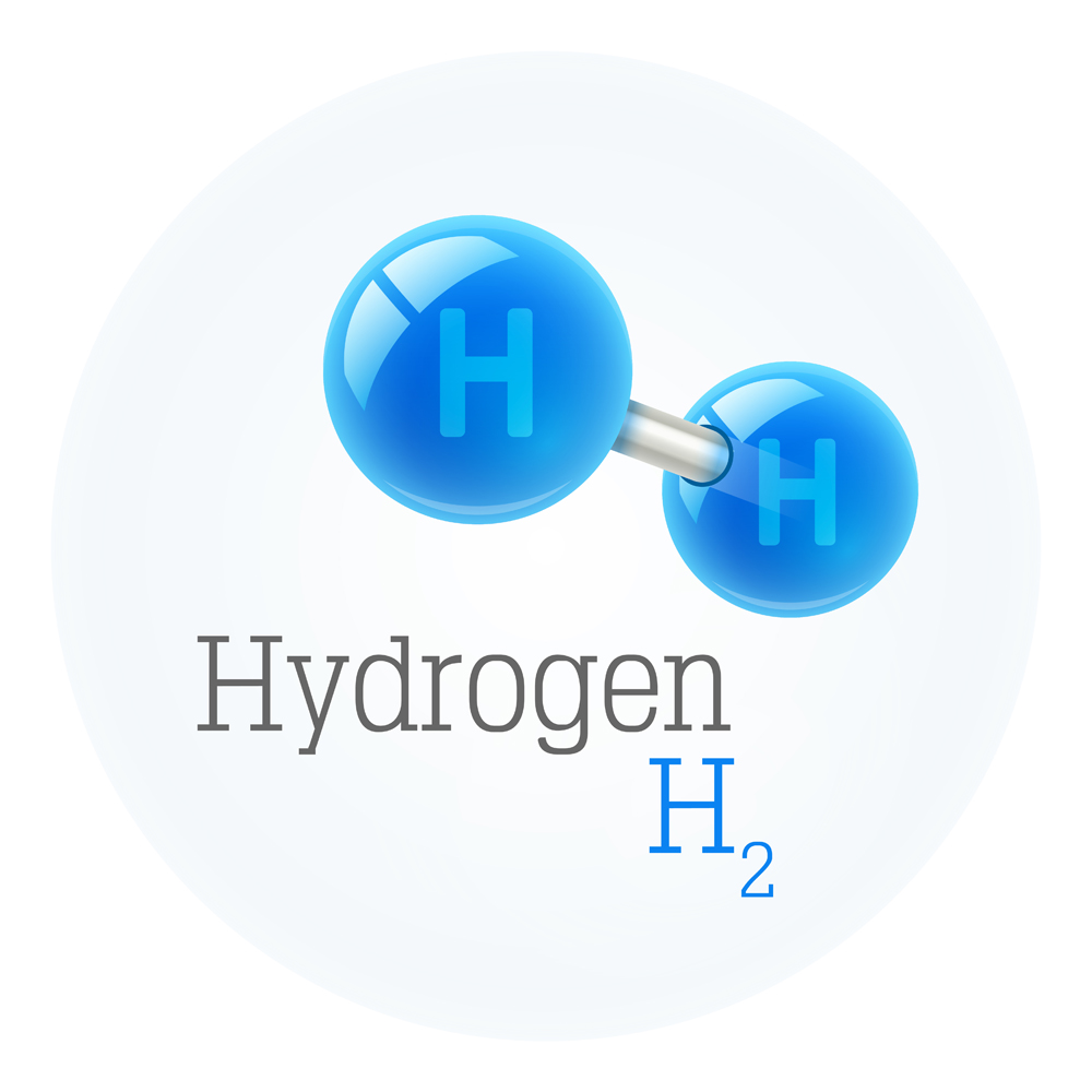 Chemistry model of hydrogen molecule(LoopAll)s