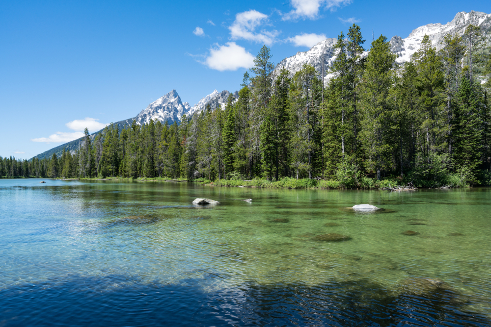 Crystal clear water of String Lake Teton National Park(Paul Brady Photography)S