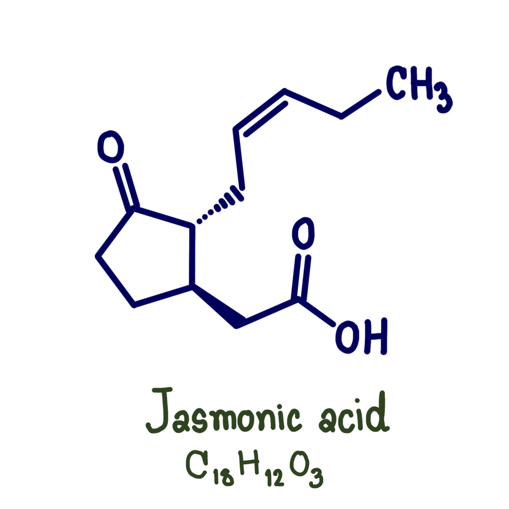 Jasmonic acid. Definition(PNOIARSA)s