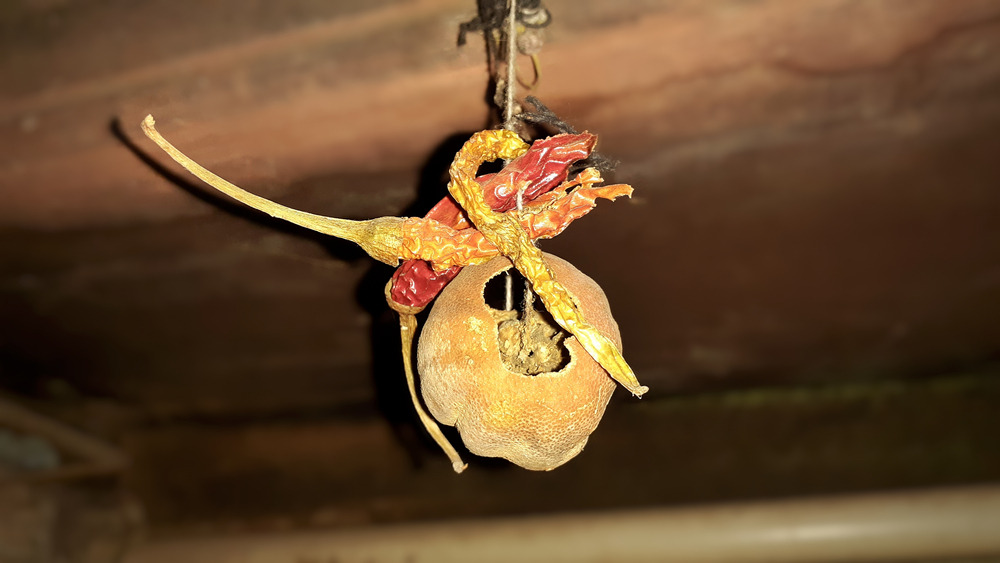 Lemon chillies hanging superstition(DHARMESH BHUTAIYA)s