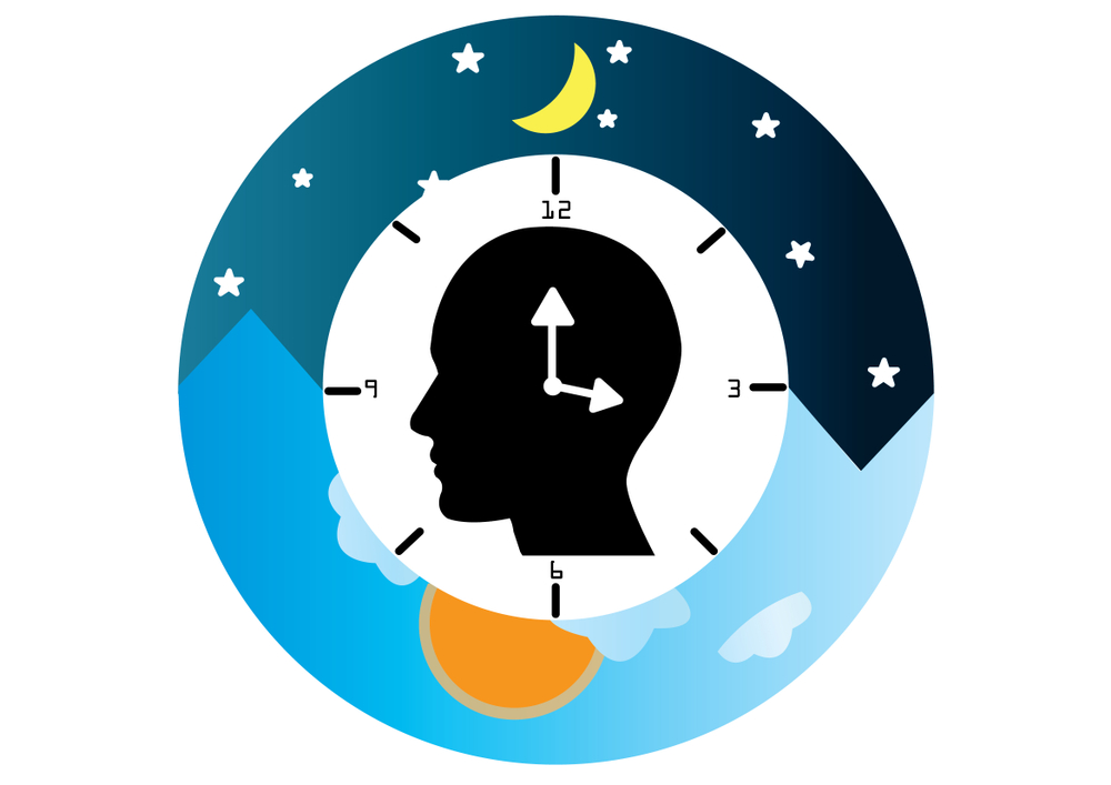 The circadian rhythms are controlled by circadian clocks(kanyanat wongsa)s
