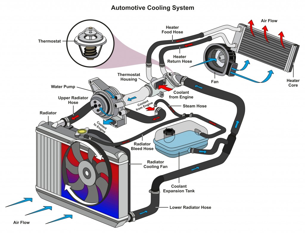 Automotive Cooling System infographic diagram showing process(udaix)s