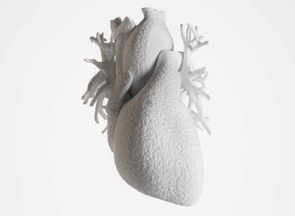 Bioprint of a heart, 3D printing of a heart(Crevis)s