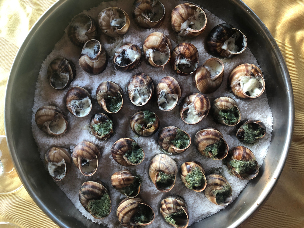 Burgunian snails on a plate with salt(Rita Piermiakova)s