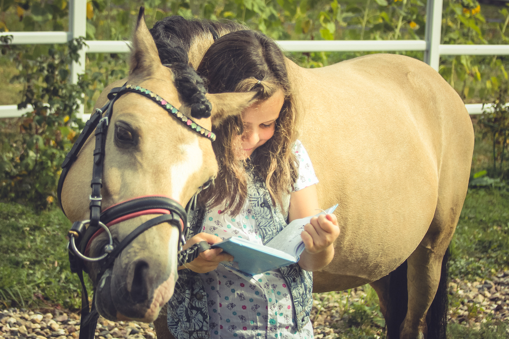 The girl shows welsh pony an interesting lesson in the book(patrikteam)S