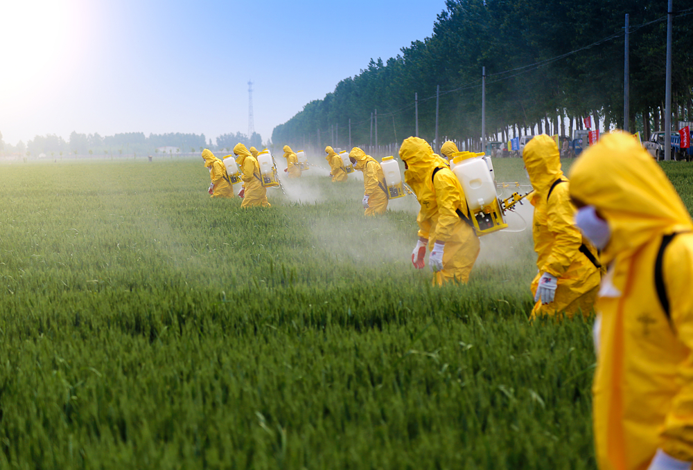 farmers spraying pesticide in wheat field wearing protective clothing(Jinning Li)S