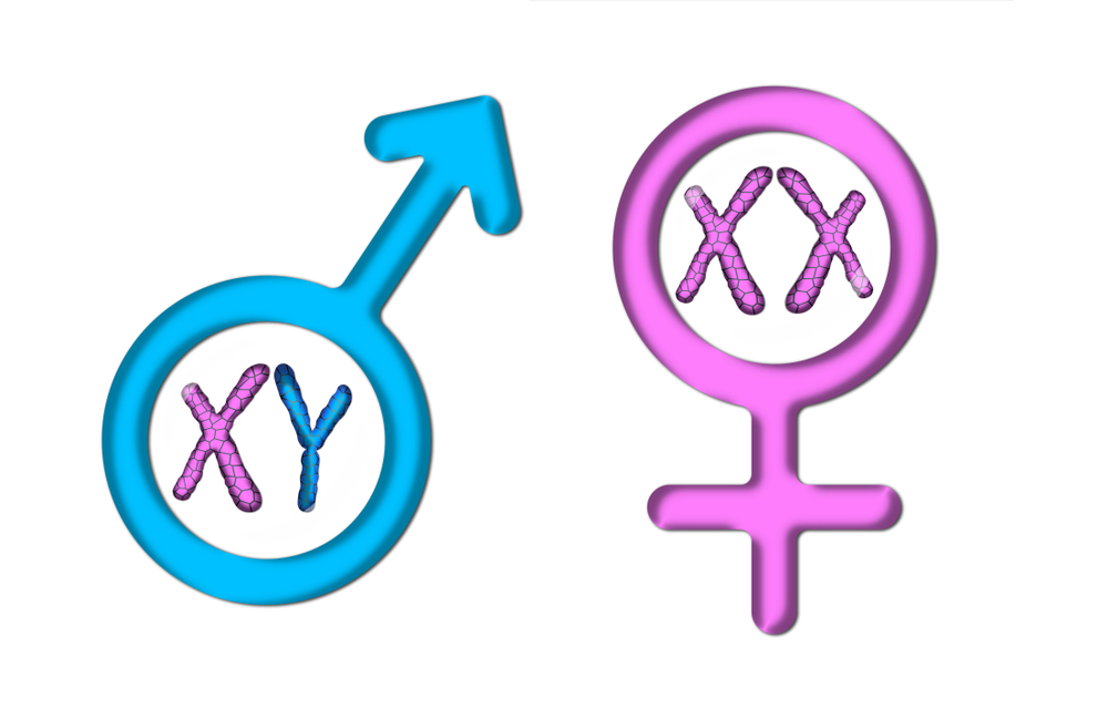 Color graphics with white background, pink female symbol, and blue male symbol with X and Y chromosomes(saeid yaghoubi)s