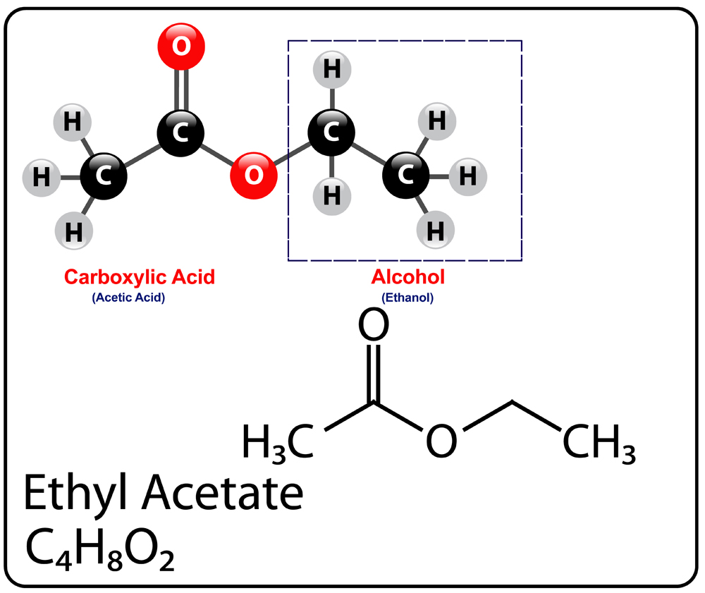 Ethyl Acetate Molecule Structure(gstraub)s
