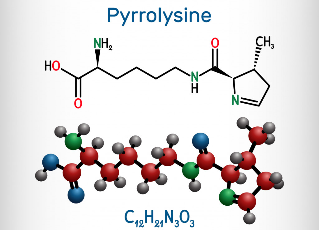 Pyrrolysine, l-pyrrolysine, Pyl, C12H21N3O3 molecule(Bacsica)s