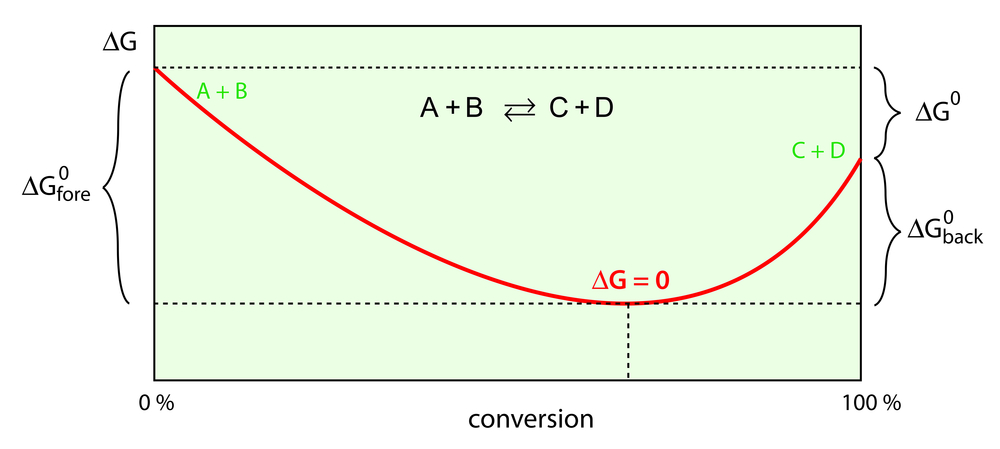 free enthalpy curve shows minimum at chemical equilibrium(magnetix)s