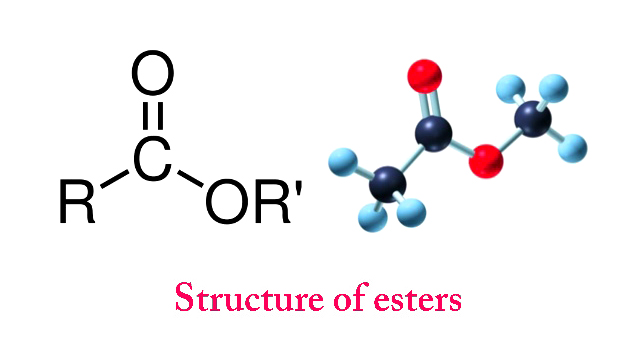 structure of esters