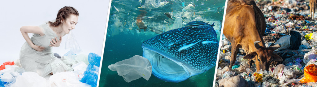 All organisms suffer from waste pollution, including humans