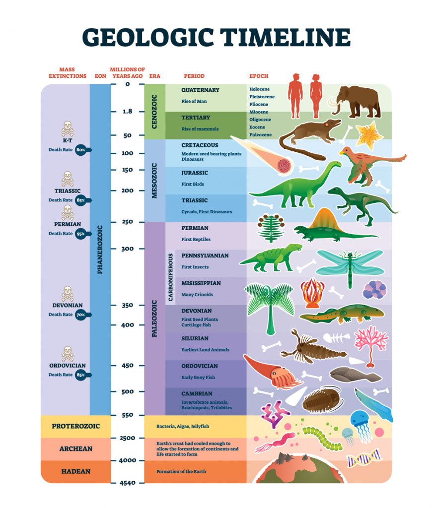 Geologic timeline scale vector illustration(VectorMine)s