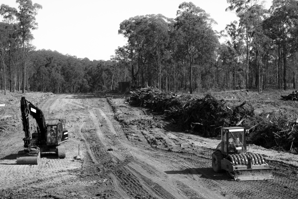 Land clearing for more suburban homes. Loss of biodiversity and habitat(Bellamaree)S