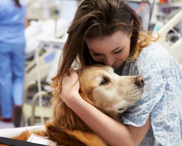 Therapy Dog Visiting Young Female Patient In Hospital(Monkey Business Images)s