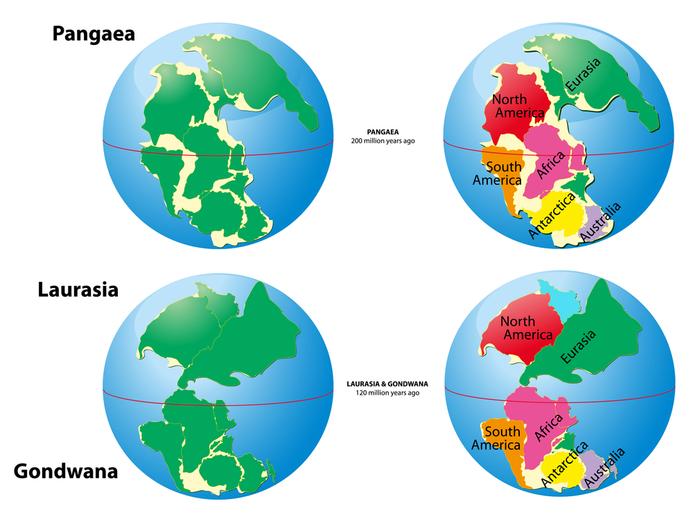 Was the supercontinent that existed during the Paleozoic and Mesozoic eras(Designua)s