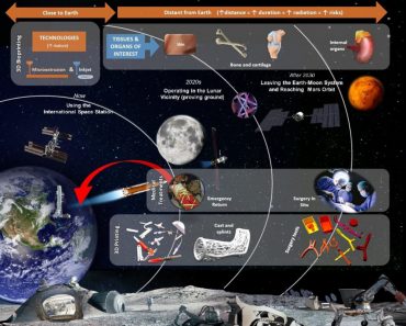 3D bioprinting for space pillars