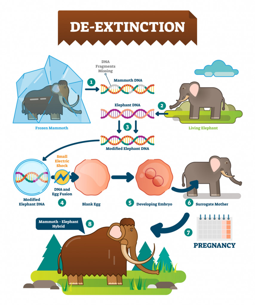 De-extinction infographic vector illustration(VectorMine)S