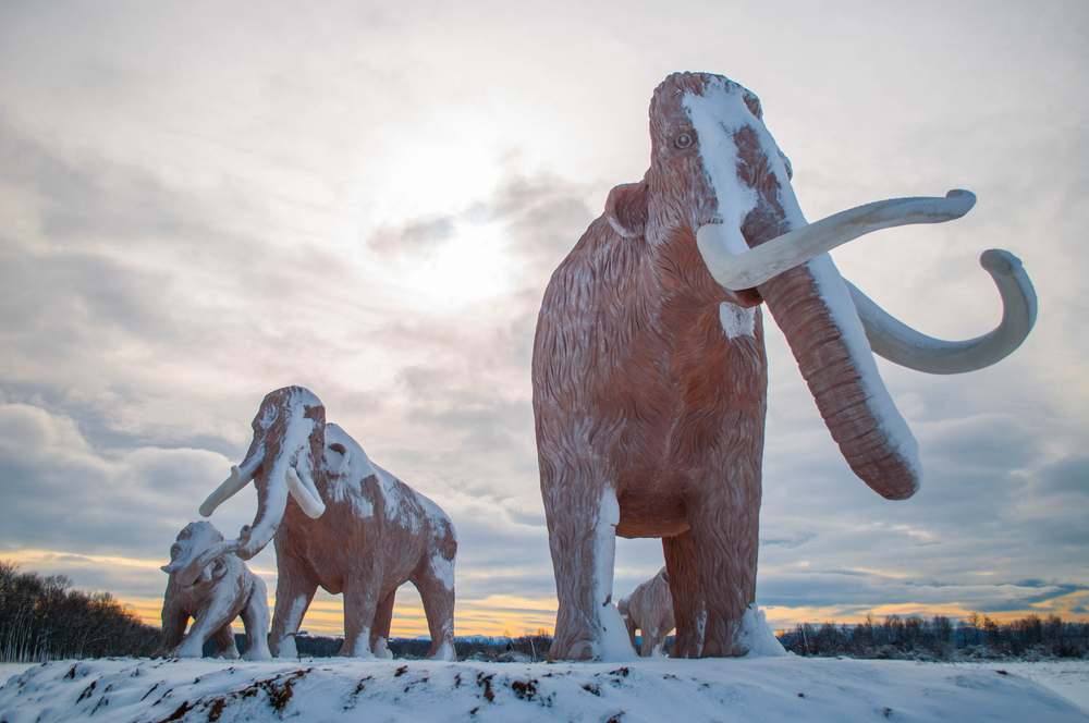Bohorodchany, Ukraine - Feb. 06.2020. A group of mammoths(Svitlyk)s