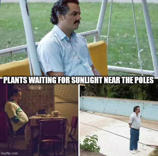 PLANTS WAITING FOR SUNLIGHT NEAR THE POLES meme