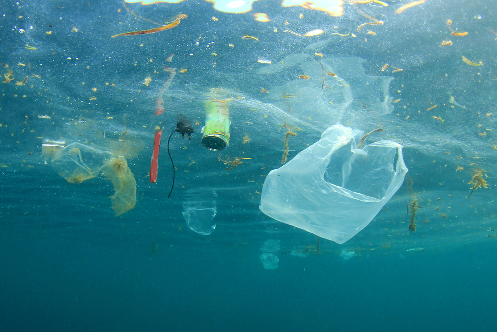 Plastic pollution in ocean(Rich Carey)s