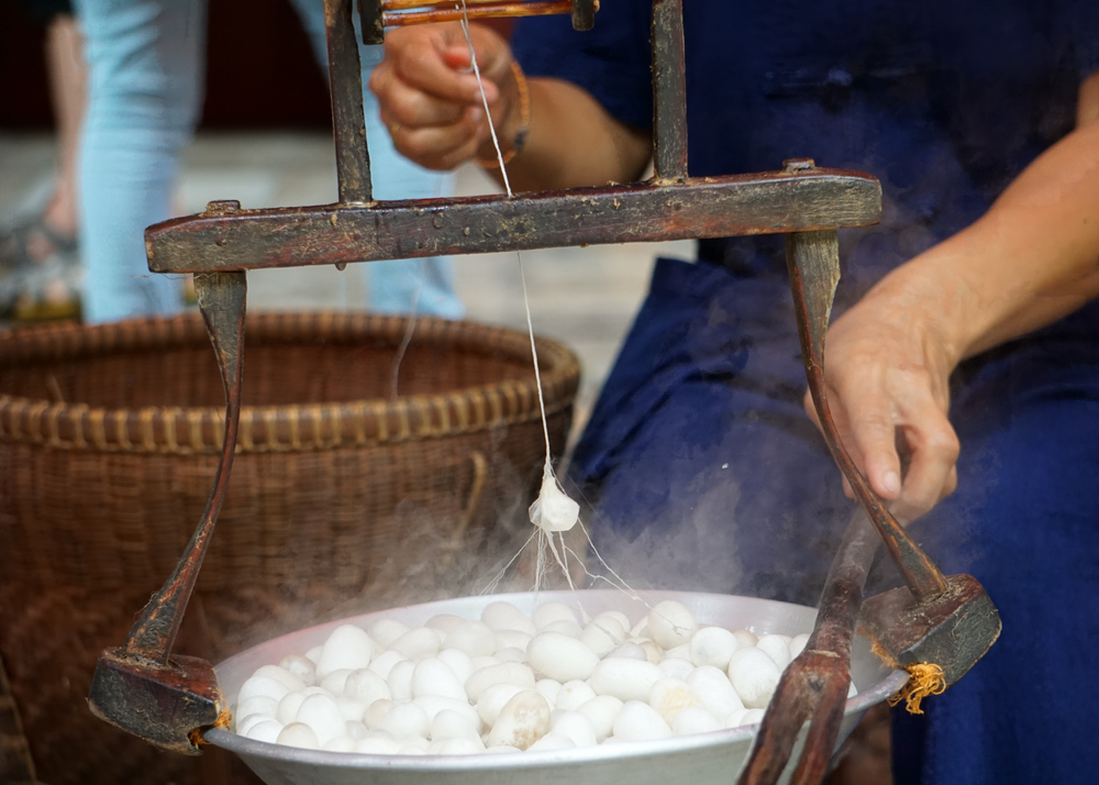 Woman Hand And Raw Silk Thread Of Silkworm Cocoons(Julija Ogrodowski)S