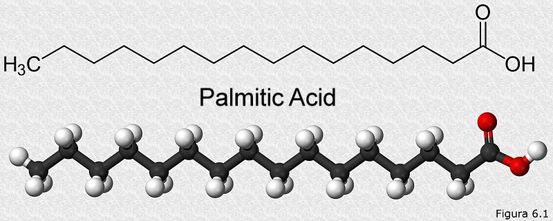 Palmitic-acid