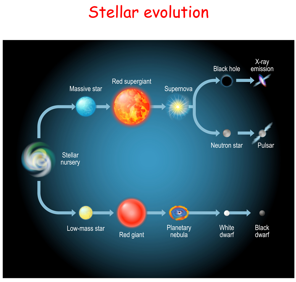 Stellar,Evolution.,Life,Cycle,Of,A,Star.,From,Stellar,Nursery