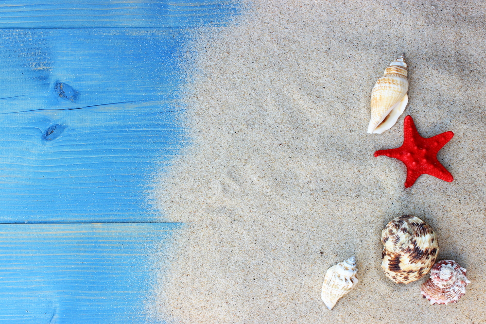 Summer background with sea shells and red star with sand on blue wooden planks. Copy space(panna-yulka)s