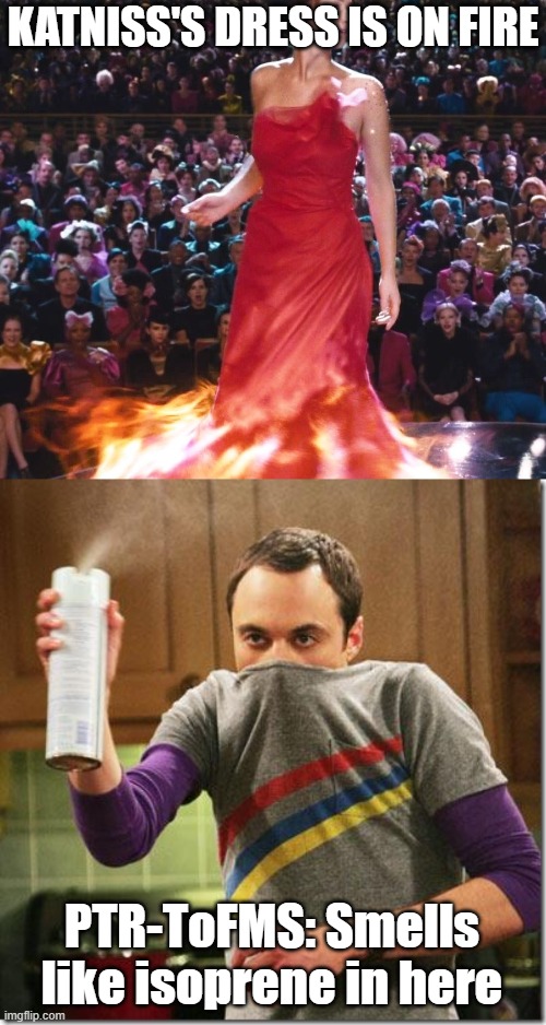 KATNISS'S DRESS IS ON FIRE meme