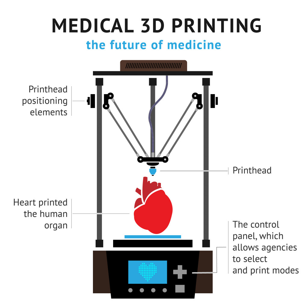 Medical 3d printer for duplication of human organs(TatyanaTVK)s