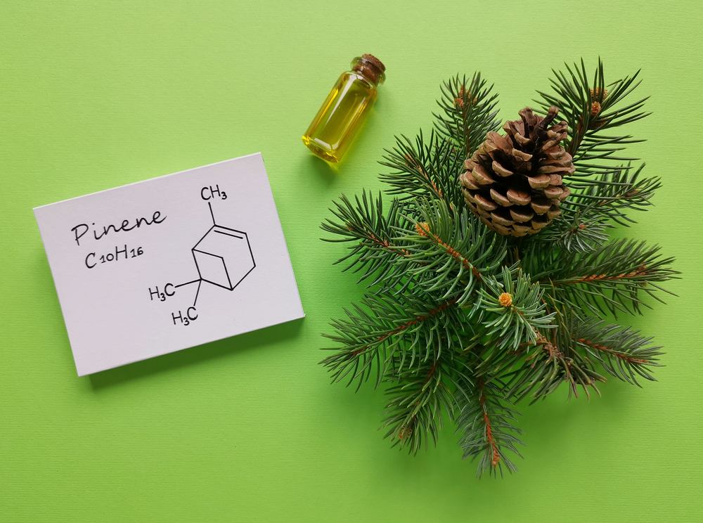 Structural,Chemical,Formula,Of,Pinene,Molecule,With,Pine,Cone,,Aromatherapy