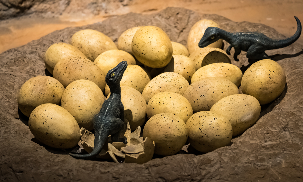 Dinosaur eggs with new born tyrannosaurus rex babies(Marco Foto)s