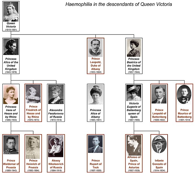 Haemophilia of Queen Victoria