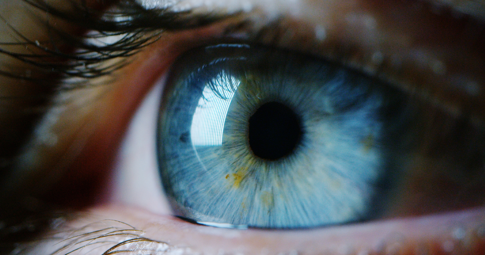perfect blue eye macro in a sterile environment and perfect vision in resolution 6k(HQuality)s