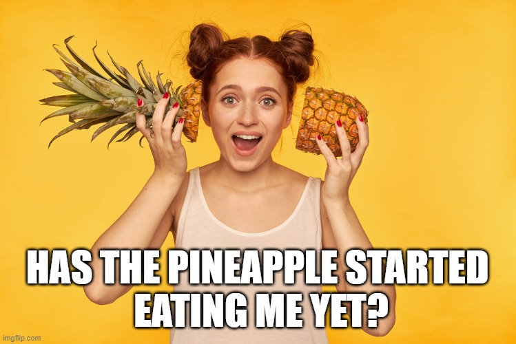 HAS THE PINEAPPLE STARTED meme
