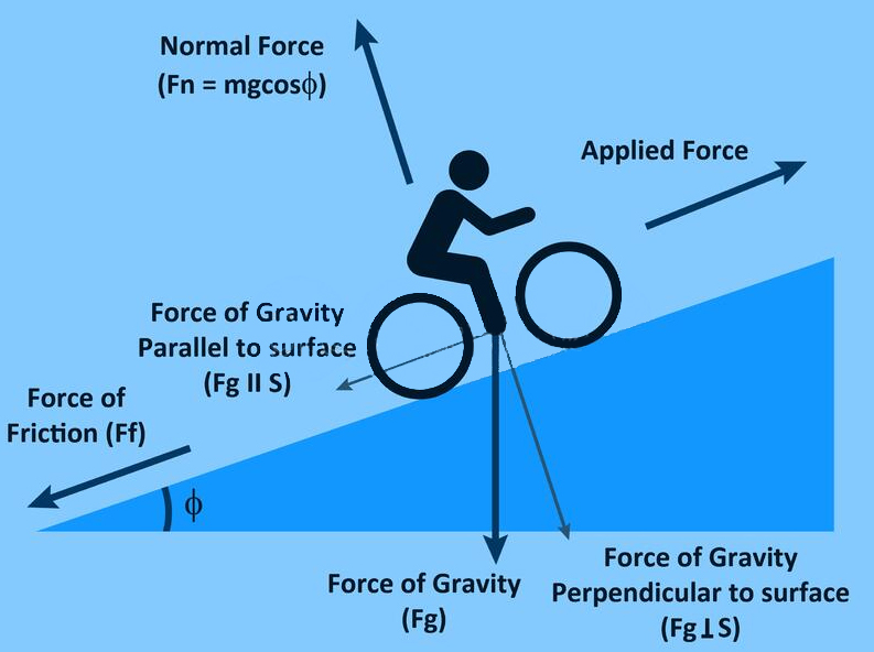 force of gravity