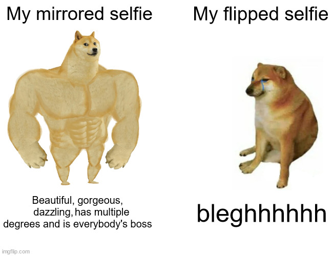 My-mirrored-selfie-meme