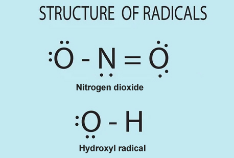 Structure of free radicals.