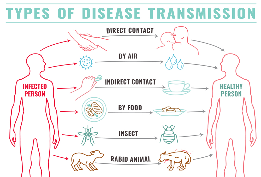 Infectious,Disease,Transmission,Landscape,Poster.,Virus,Pandemic,Transfer.,Human,Factor.